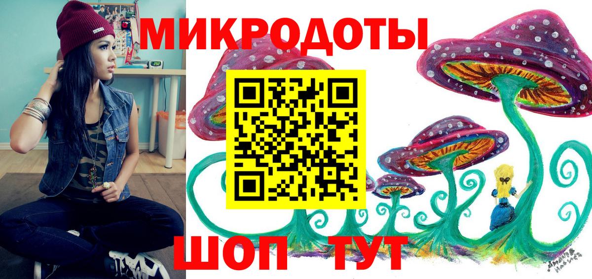Кандалакша  Галлюциногенные грибы Cubensis  Вход с VPN 